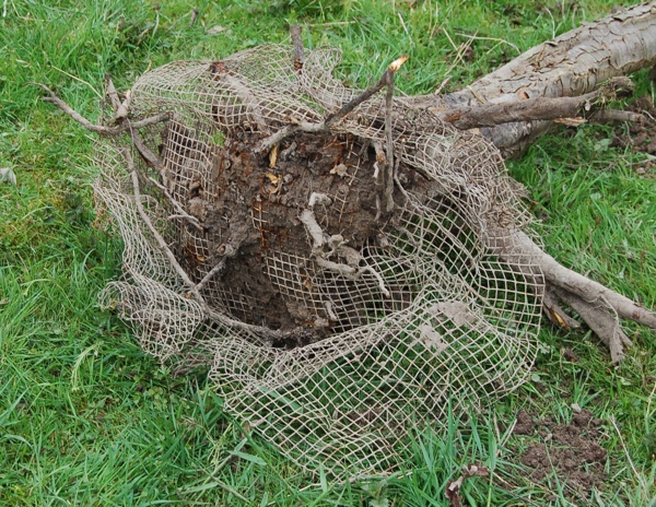 Falscher Schutz mit <b>verzinktem</b> Draht