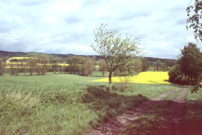 Der Weg durch das Begatal